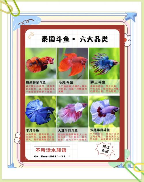 硫火喷吐鱼的获取方式图标