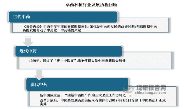 中国中药网(官方网站)游戏截图