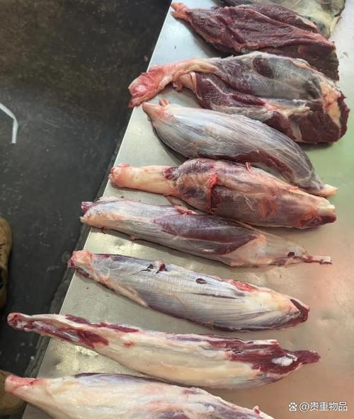 野兔肉和牛肉哪个好缩略图