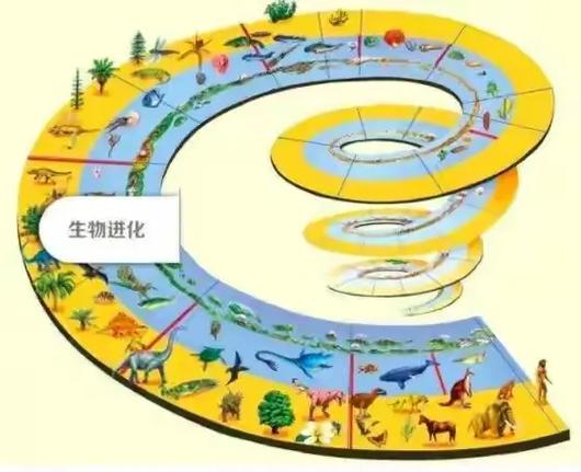 生命之道1生命的起源缩略图