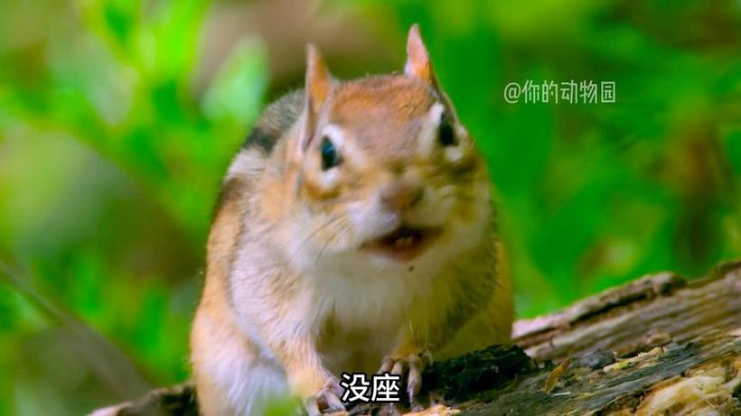 鼠标大小尺寸与手比较游戏截图