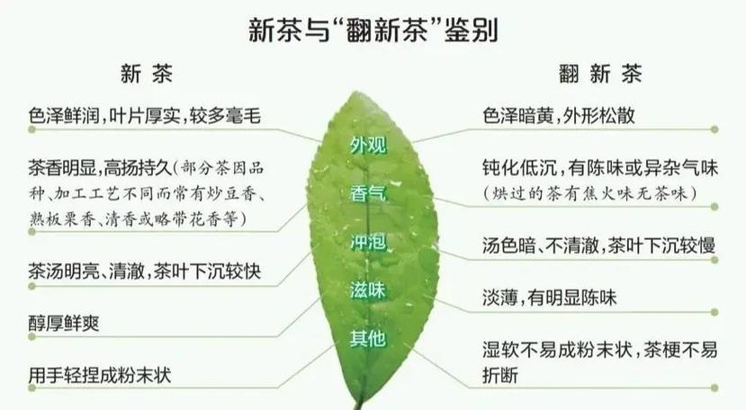新茶好喝还是旧茶好喝游戏截图