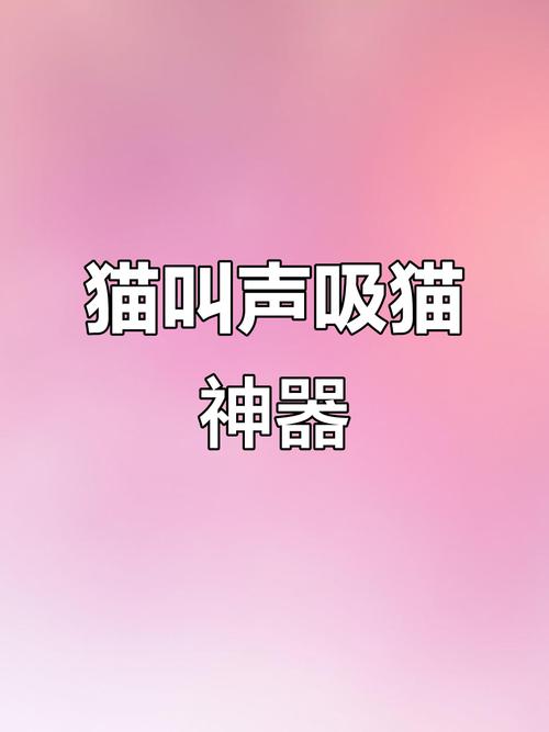 猫咪叫声吸引猫咪过来召唤小猫缩略图