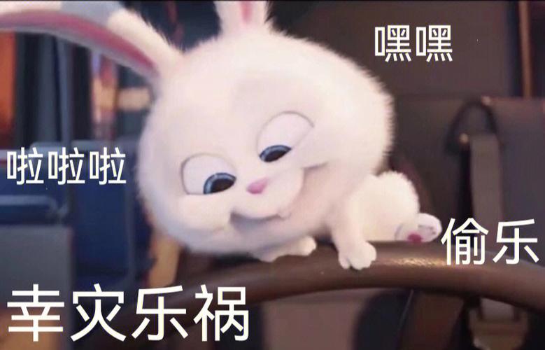 萌宠大作战兔子表情包缩略图