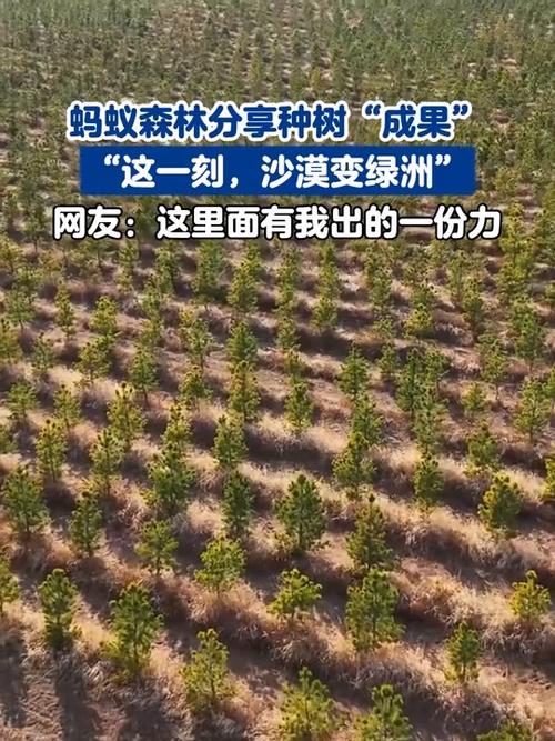 蚂蚁森林获得了缩略图