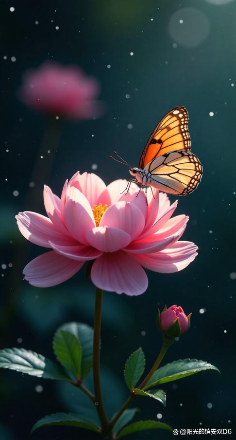 花和蝴蝶缩略图