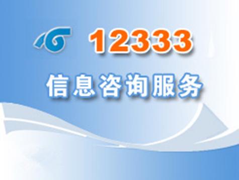12333社保查询网官网缩略图