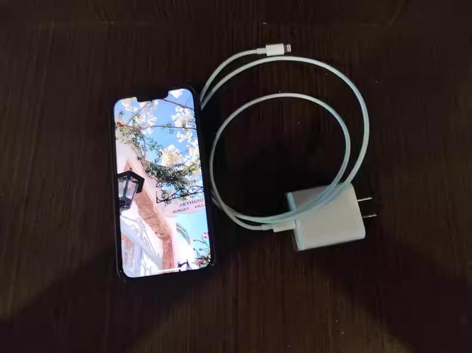 苹果11pro充电口图片游戏截图