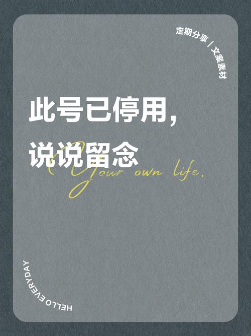 拍视频可以暂停再继续的软件图标