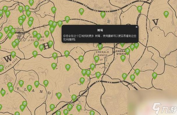 荒野大嫖客2树莓缩略图