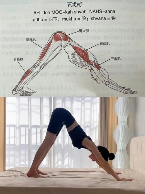张广德33式背向慢动作分解缩略图