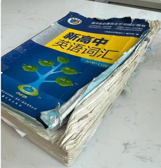 维克多英语高中词汇缩略图