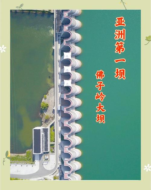 绿坝的寓意缩略图