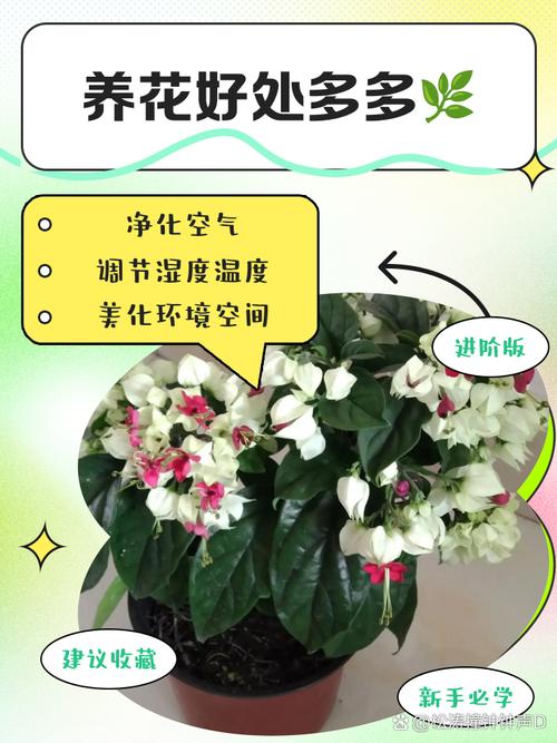 多多养花赚钱优势缩略图