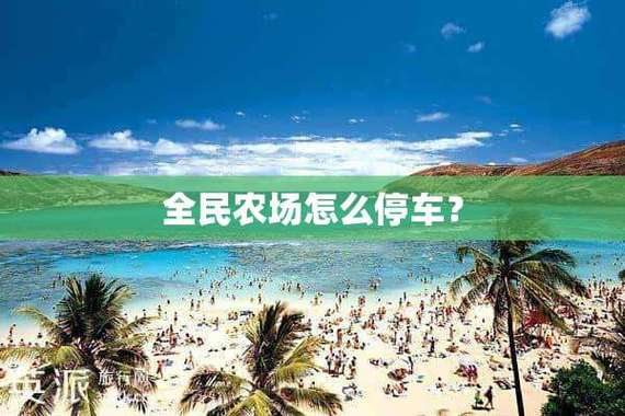 全民农场停车场攻略游戏截图