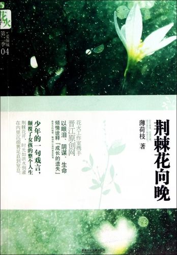 荆棘花向晚游戏截图
