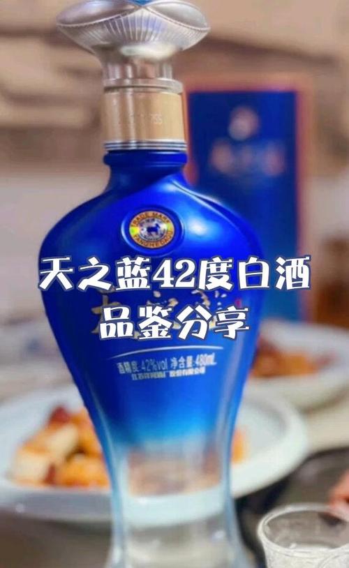 天之蓝v14软件说明缩略图