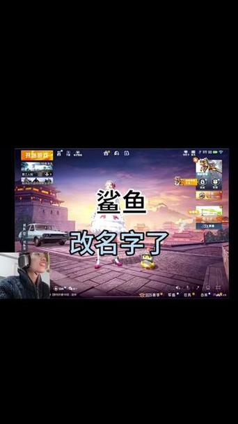 和平精英鲨鱼id缩略图