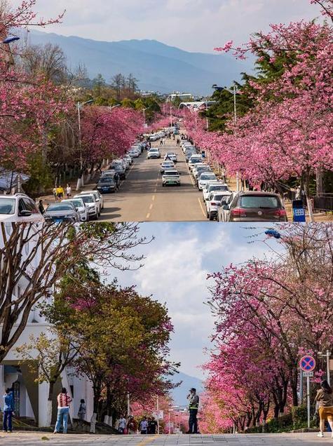 樱花校园的隐藏建筑缩略图