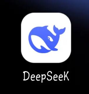 DeepSeek无限制词图标