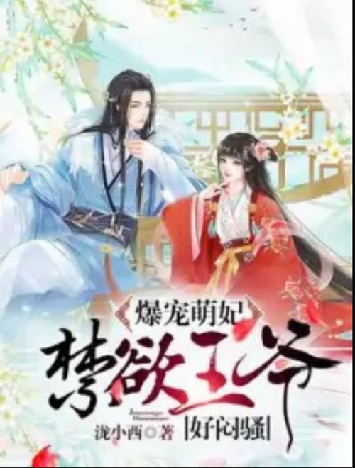 王爷轻点小心肚子里的孩子游戏截图