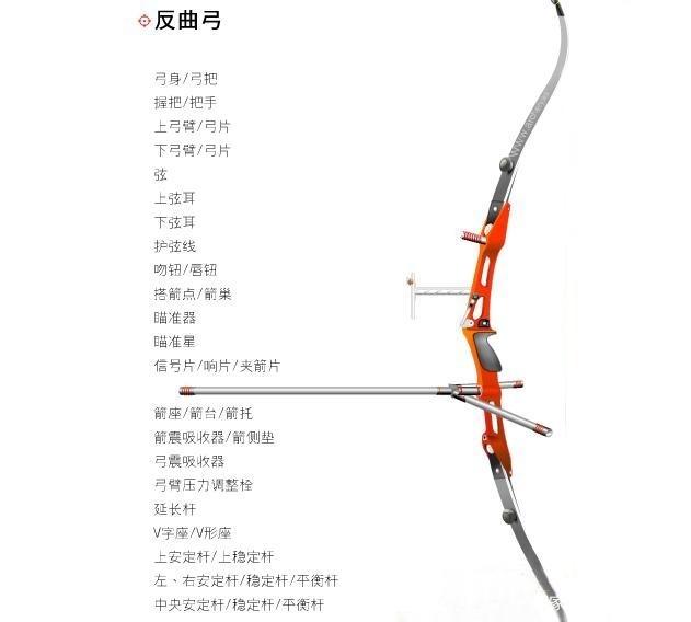 复合弓厉害还是反曲弓厉害缩略图