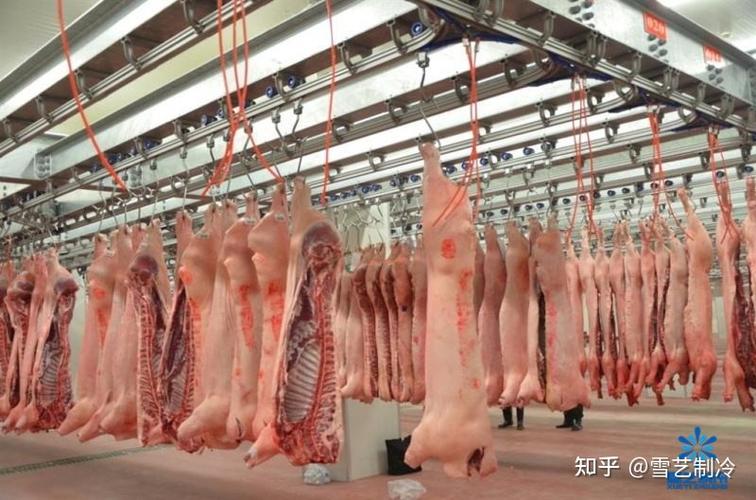 兔子加工肉联厂缩略图