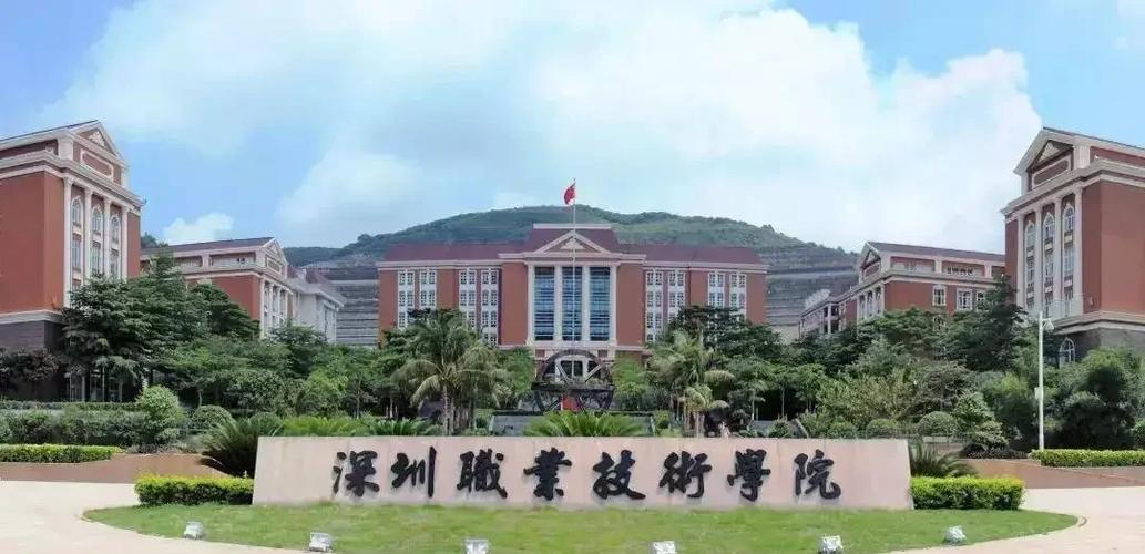 深职院毕业有安排工作吗缩略图