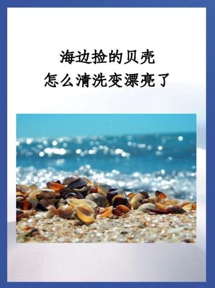贝壳怎么处理干净缩略图