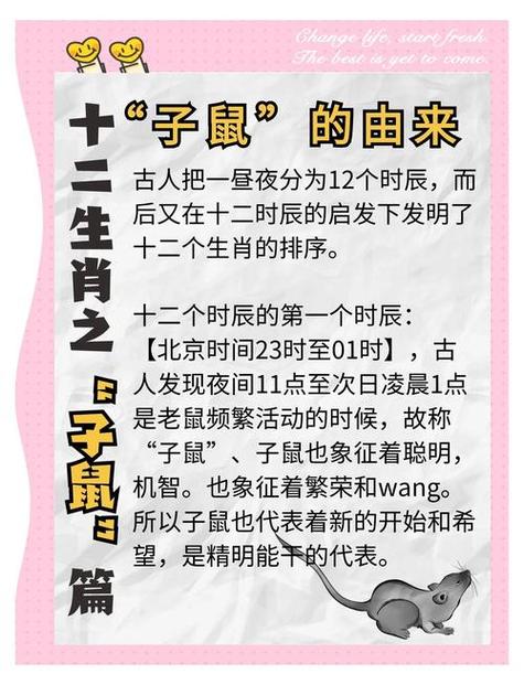 鼠最忌讳的三个属相缩略图