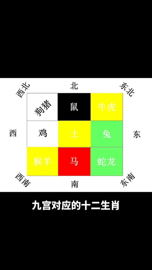 九星三碧代表什么生肖缩略图