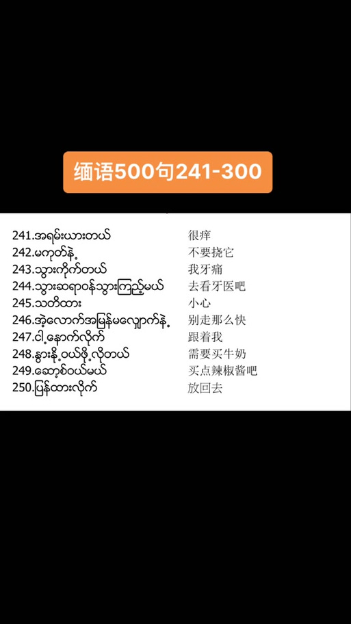 缅甸中文翻译免费缩略图