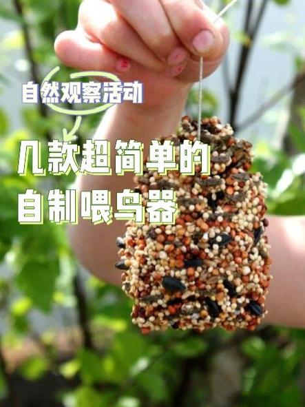 鸟食十大品牌排行榜缩略图