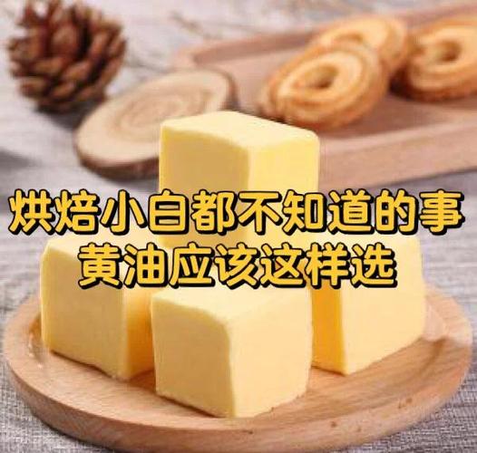 动物黄油和植物黄油区别游戏截图