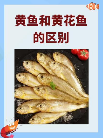 大黄鱼的鱼鳞怎么去掉缩略图