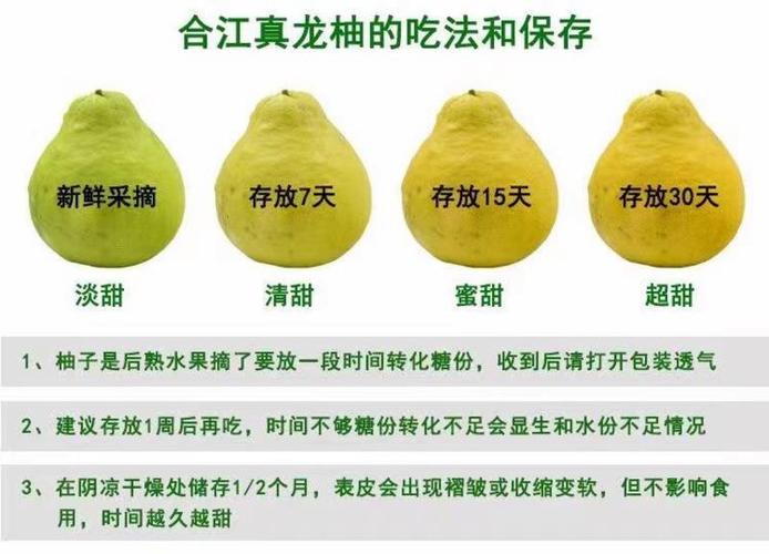 柚子的详细资料缩略图