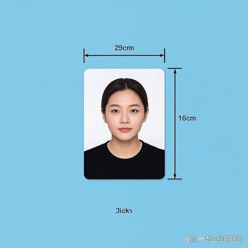 一寸照片尺寸比例缩略图