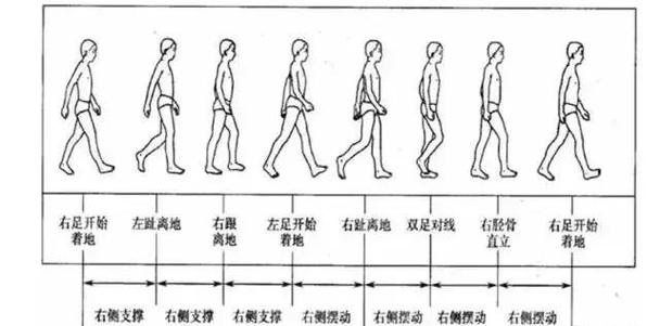 大步走路和小步走路游戏截图
