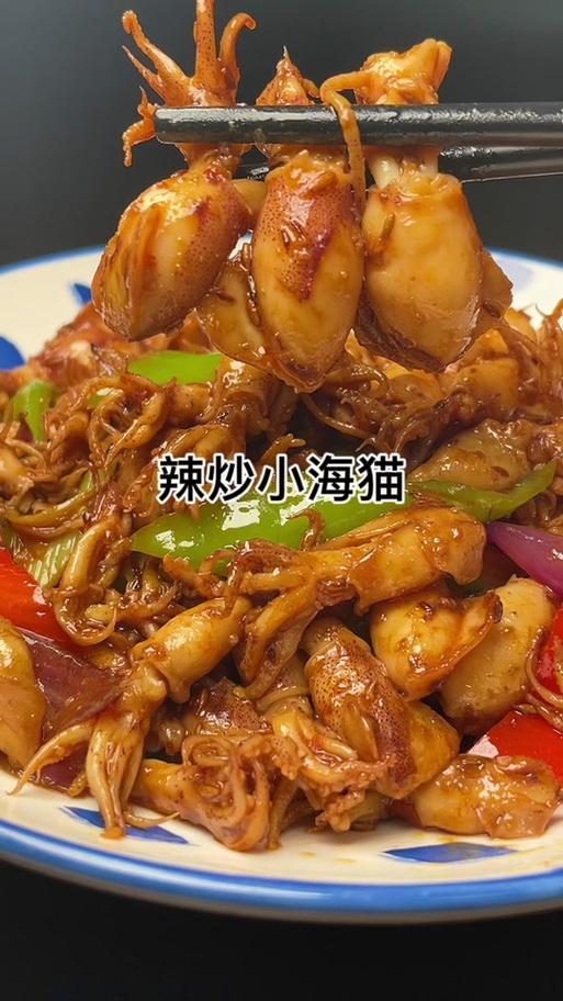 酱焖海猫的做法视频窍门缩略图