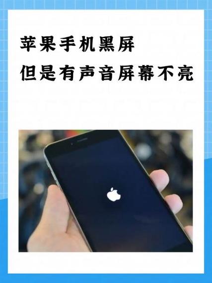 苹果11突然黑屏打不开缩略图