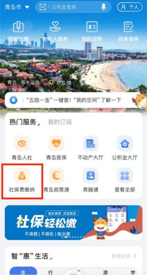 爱山东app查询个人社保缩略图