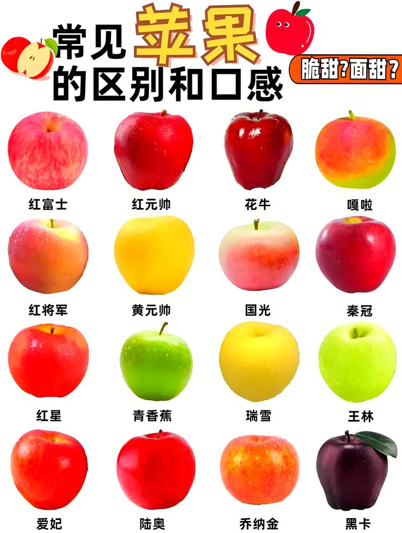 苹果13后面四个孔图解缩略图