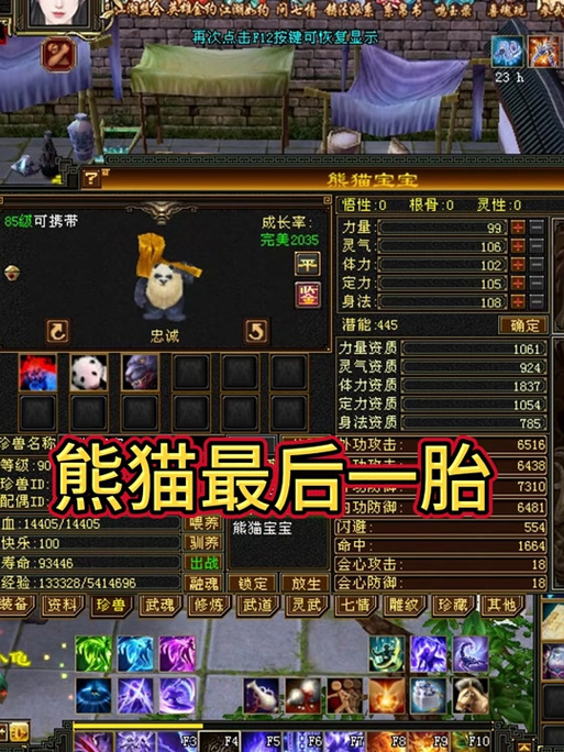 天龙八部副本带什么宝宝缩略图