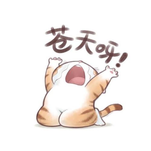 去你家吃饭就一勺表情包游戏截图