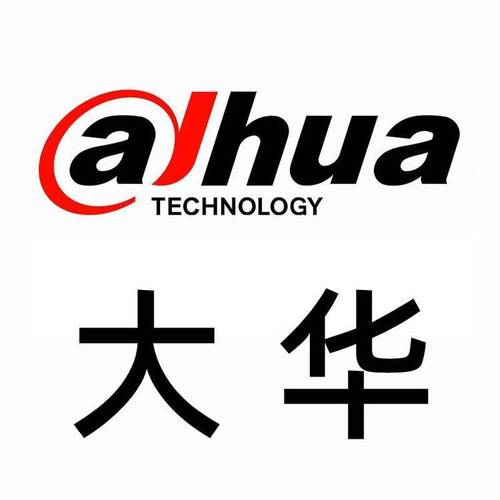 大华是杂牌子还是名牌游戏截图
