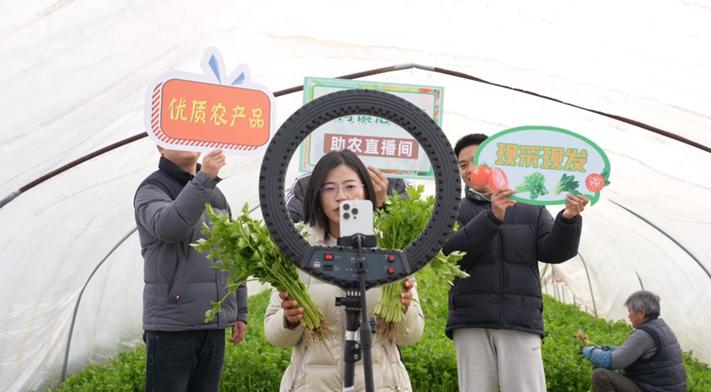 高端有机蔬菜电商平台缩略图