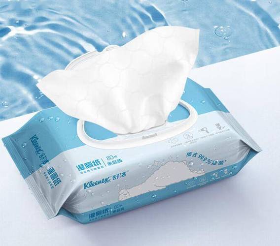 口碑最好的湿厕纸品牌缩略图