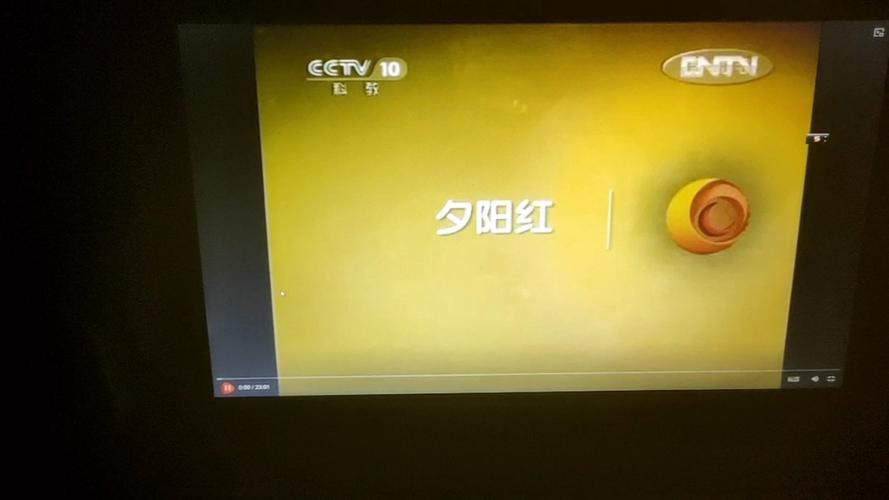 CCTV10今日回看游戏截图