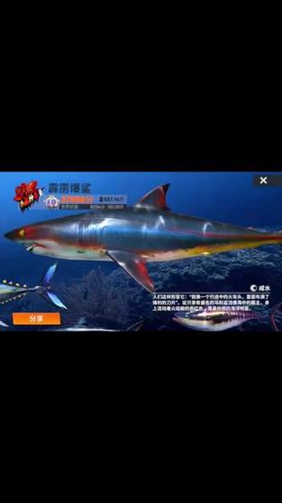 钓鱼大师最新版本下载缩略图