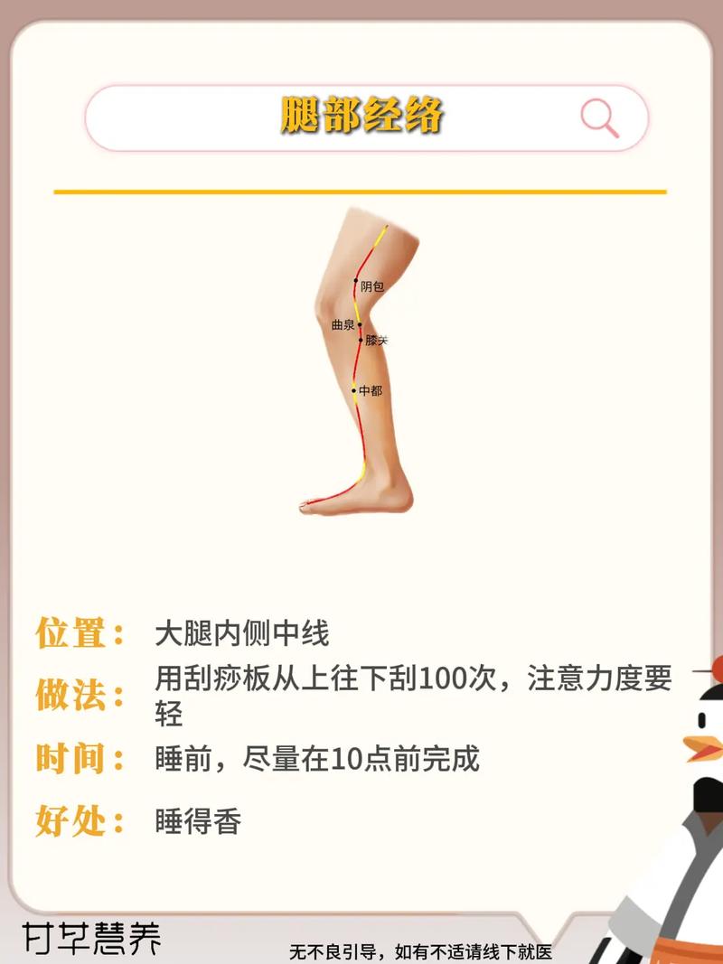 刮痧视频教程全过程缩略图